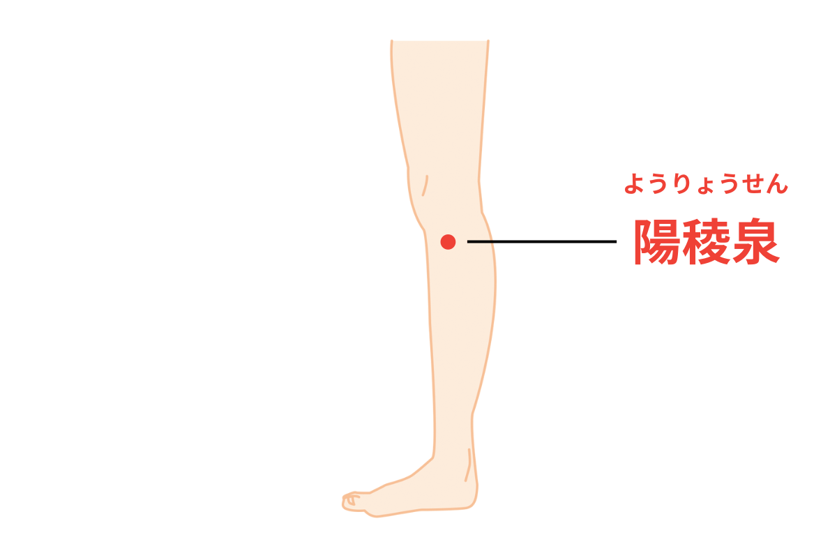 陽稜泉のツボ