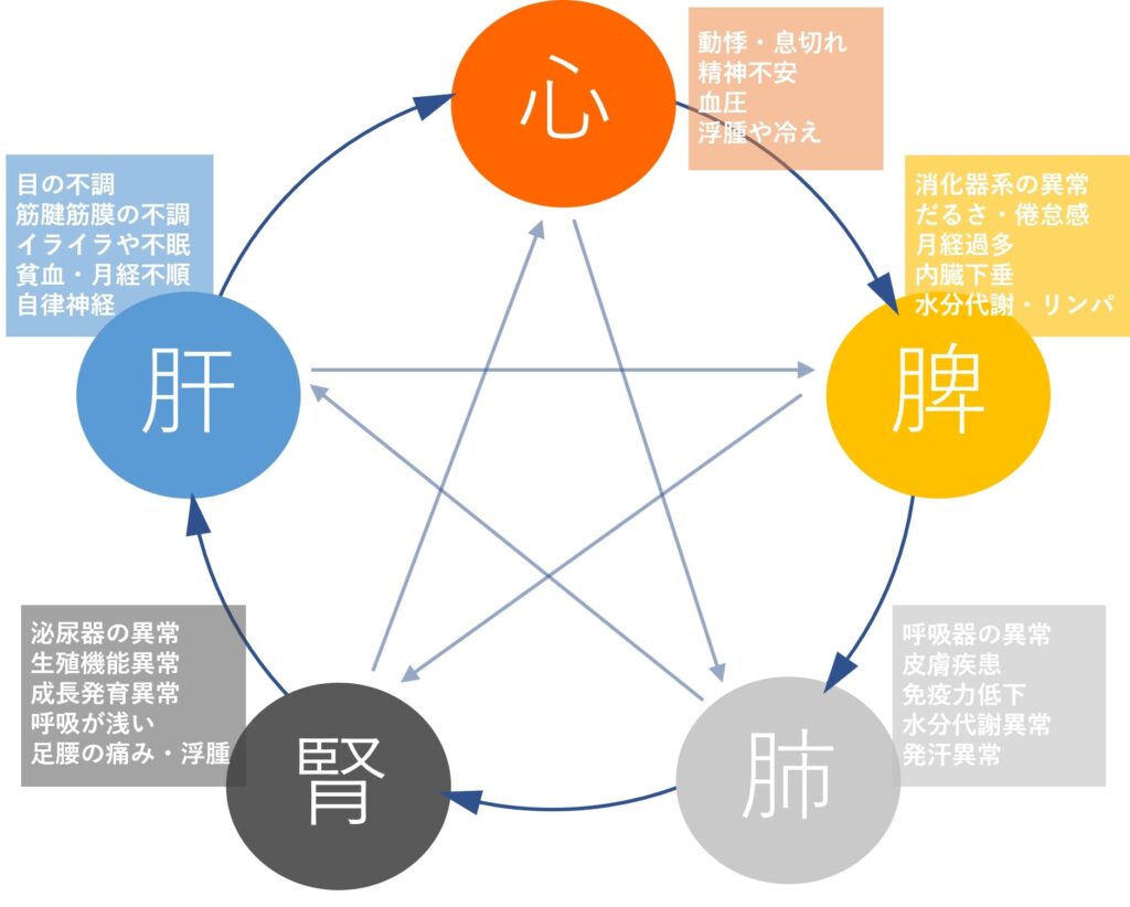 東洋医学・五臓